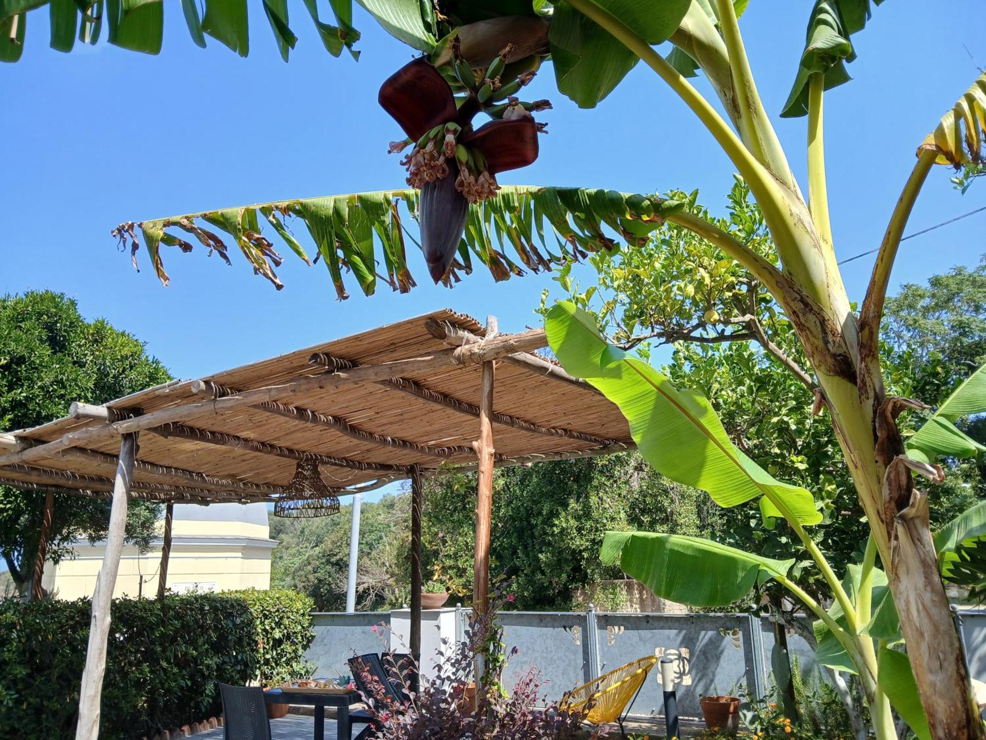 Sonnino B&B Procida Szoba fotó